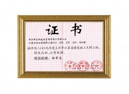 江苏泗洪水岸城邦二期—江苏省建筑施工文明工地