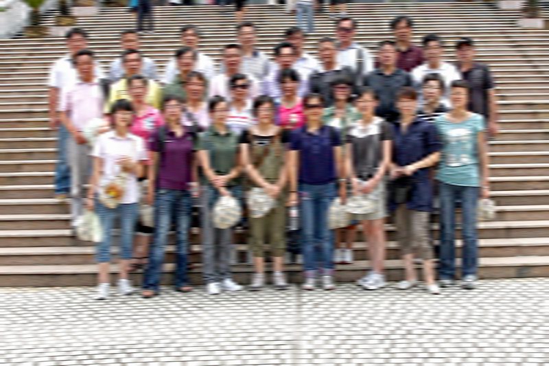 2025年澳门免费原料网