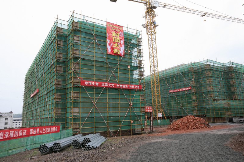 2025年澳门免费原料网