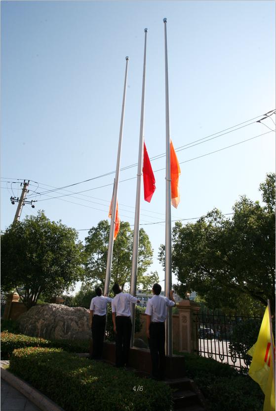 2025年澳门免费原料网